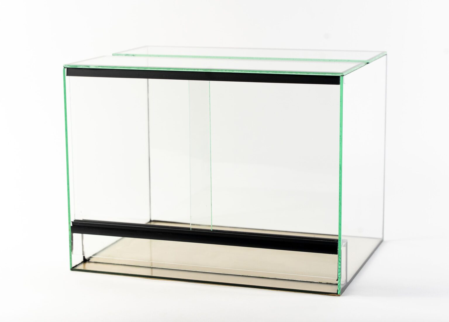 Horisontellt glasterrarium sett snett framifrån